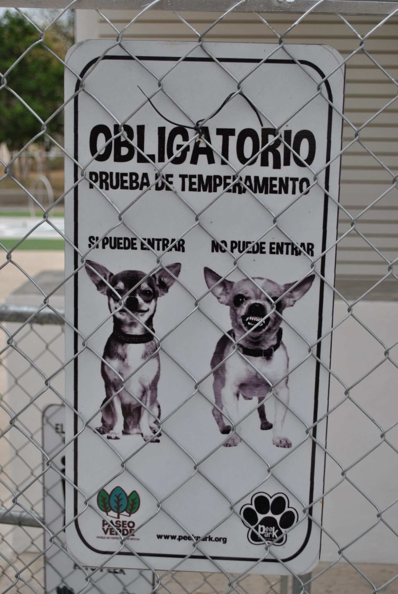 Parque Canino Peek Park