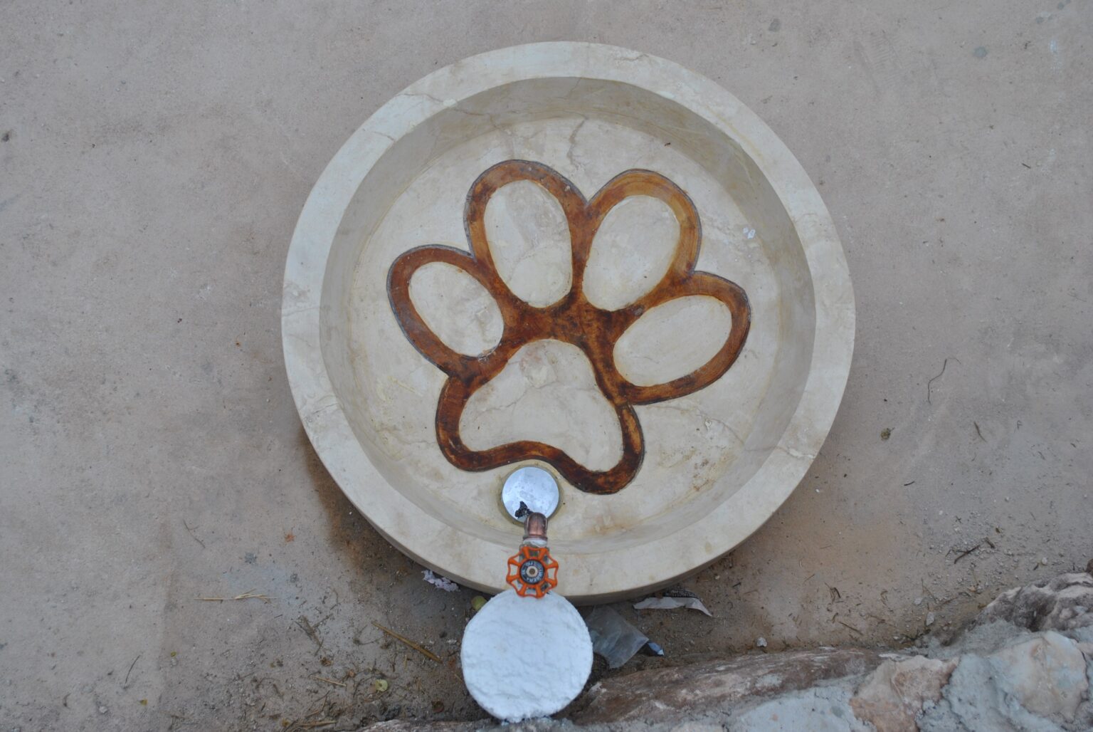 Parque Canino Peek Park