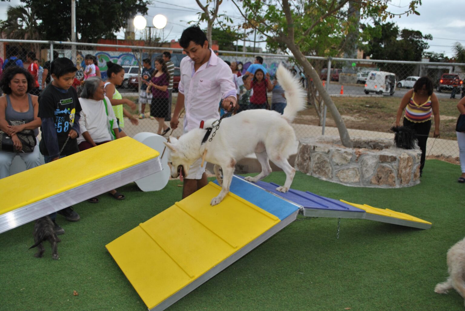 Parque Canino Peek Park