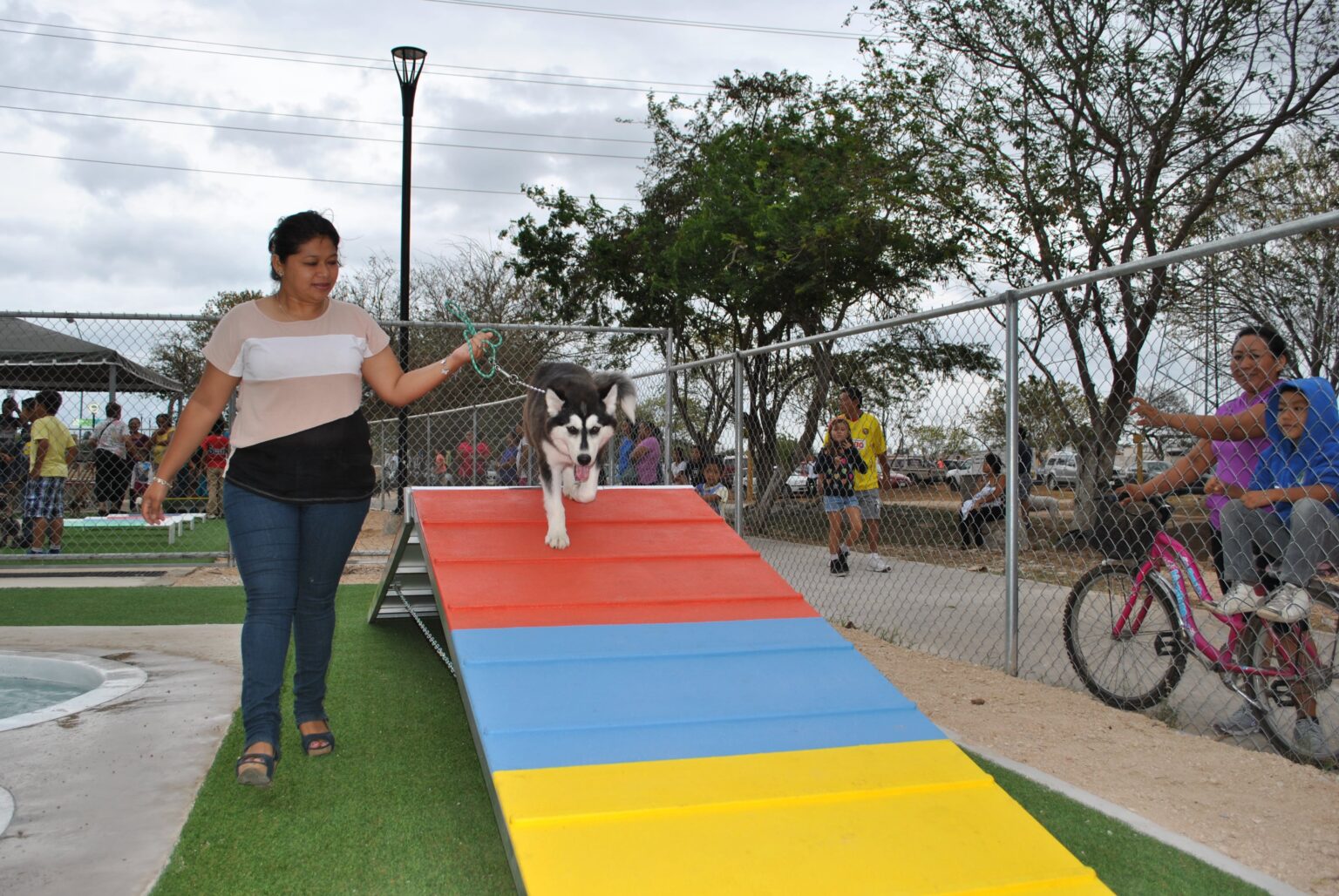 Parque Canino Peek Park
