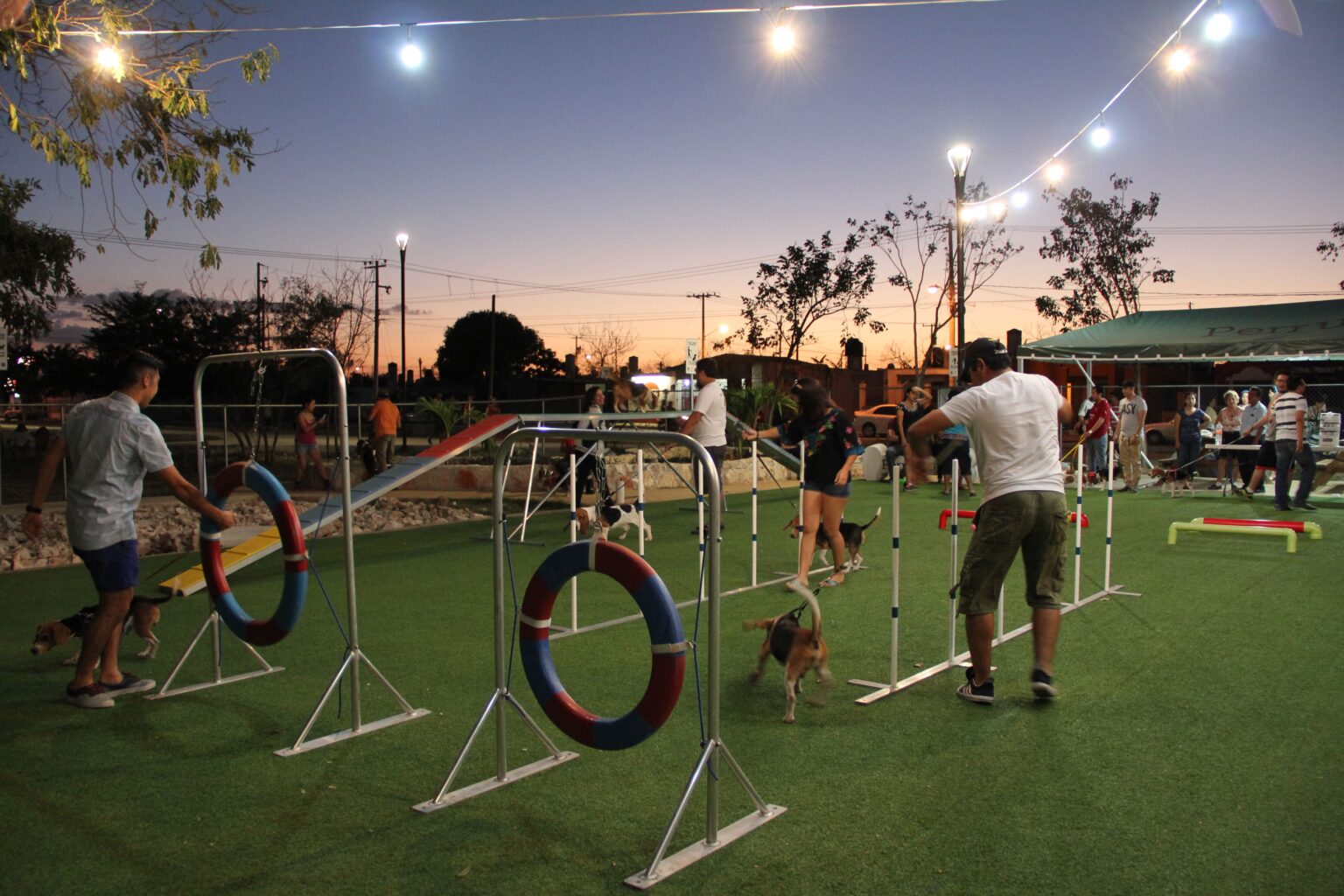 Parque Canino Peek Park