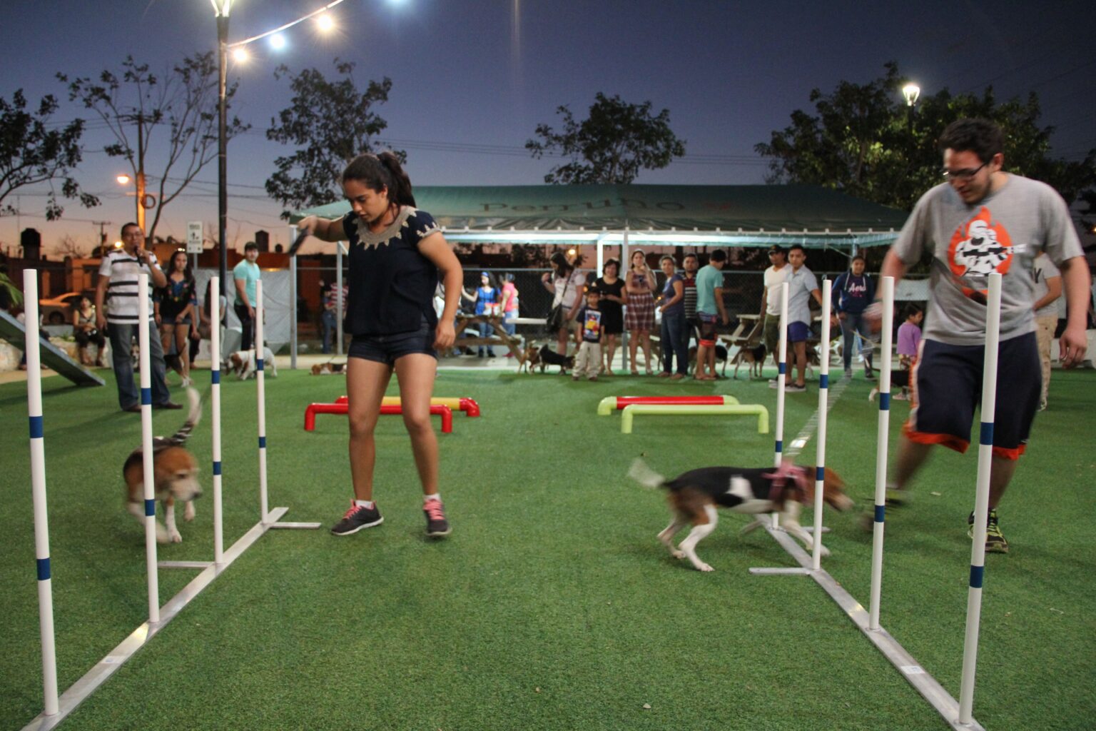 Parque Canino Peek Park