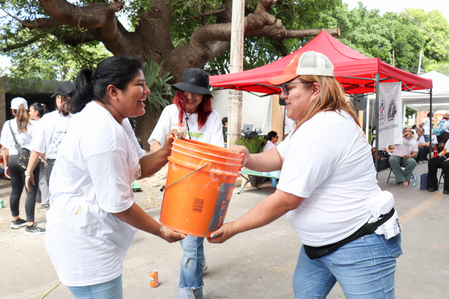 Voluntariado en parques: mucho más que manos